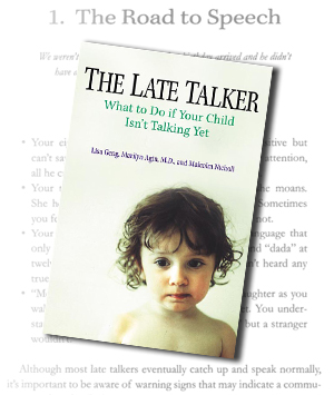 The Late Talker Book